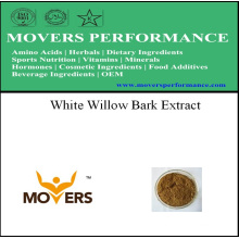 Good Price Plant Extract - White Willow Bark Extract